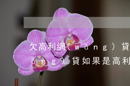 欠高利網(wǎng)貸不還可以嗎(網(wǎng)貸如果是高利貸是不是可以不用還)