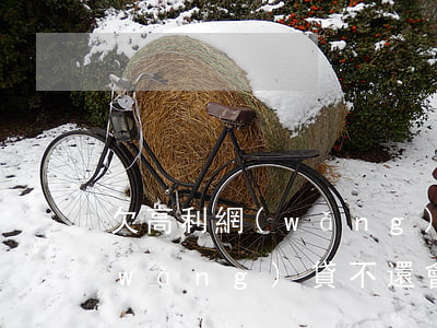 欠高利網(wǎng)貸怎么還(高利息網(wǎng)貸不還會怎樣)