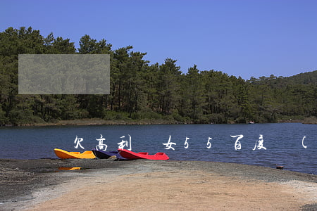 欠高利貸女55百度網(wǎng)盤