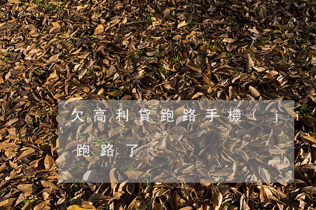 欠高利貸跑路手機(jī)(欠高利貸還不起跑路了)