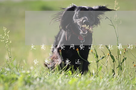 欠高利贷网贷还不起最好的做法是(网贷高利贷要不要还)