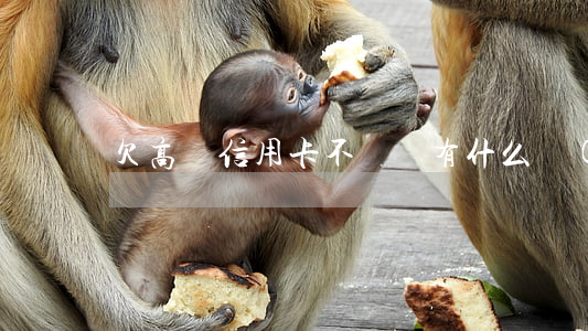 欠高額信用卡不還會有什么結(jié)果