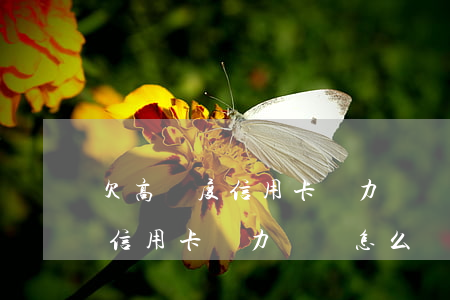 欠高額度信用卡無力償還怎么辦-欠高額度信用卡無力償還怎么辦呢