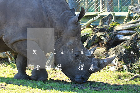 欠點(diǎn)網(wǎng)貸但是沒逾期能辦理房貸嗎(有網(wǎng)貸無逾期房貸能辦下來嗎)