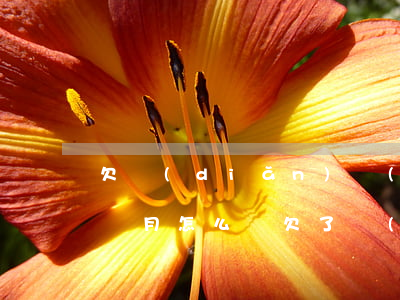欠點(diǎn)網(wǎng)貸逾期一個月怎么辦(欠了網(wǎng)貸逾期了怎么辦)