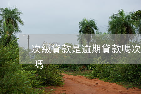 次級貸款是逾期貸款嗎(次級貸款是不良貸款嗎)