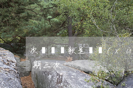 次級類貸款是連續(xù)逾期(次貸款人逾期三次)