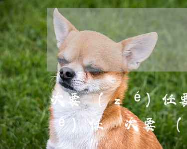 次要責(zé)任要賠償對方嗎(主要責(zé)任與次要責(zé)任到底誰接受賠償)