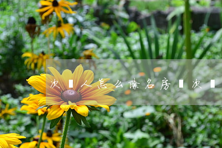 次貸人怎么除名(房貸次貸人可以取消嗎)