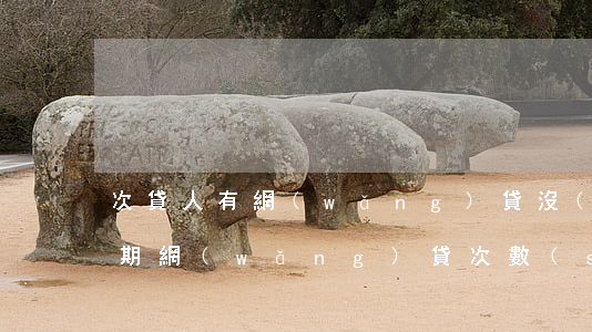 次貸人有網(wǎng)貸沒(méi)逾期 網(wǎng)貸次數(shù)多但是沒(méi)有逾期