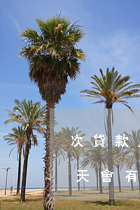 次貸款人有逾期還款記錄(忘記還貸款逾期幾天會有不良記錄嗎)