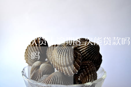 次贷人逾期8次能贷款吗(逾期7次可以贷款吗)