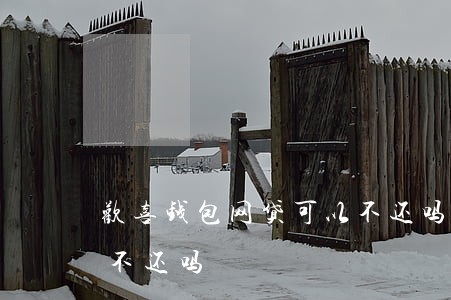 欢喜钱包网贷可以不还吗(欢喜钱包网贷可以不还吗)