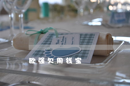 欧强欠用钱宝
