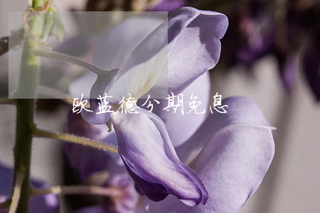 欧蓝德分期免息