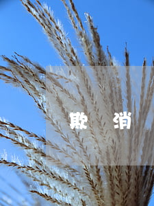 欺詐消費(fèi)者行為是什么