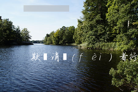 欺詐消費(fèi)者行為的界定