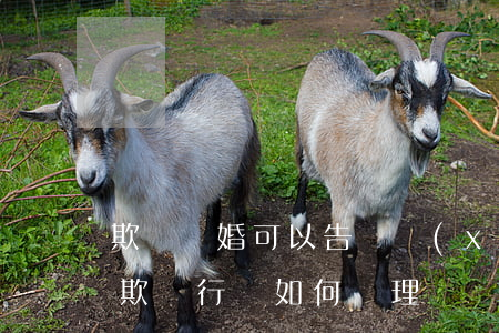 欺詐離婚可以告嗎(協(xié)議離婚存在欺騙行為如何處理)