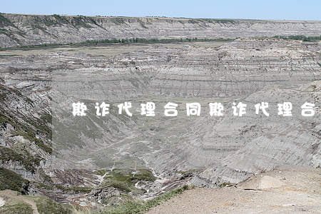 欺诈代理合同(欺诈代理合同)
