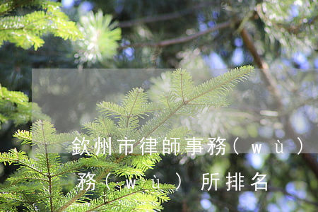 欽州市律師事務(wù)所排名(柳州律師事務(wù)所排名)