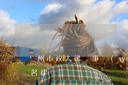 欽州市政大律師事務(wù)所(欽州市最出名律師)