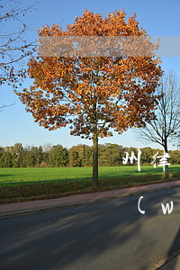 欽州律師事務(wù)所靠譜嗎(欽州律師事務(wù)所公司排名)