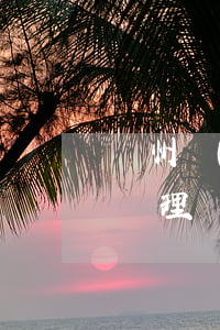 欽州鄉(xiāng)鎮(zhèn)可以處理違法扣分嗎