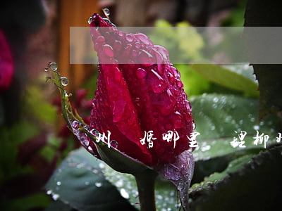 欽州離婚哪里辦理(柳州離婚在哪辦理)