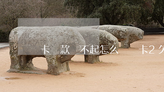 歐卡貸款還不起怎么辦(歐卡2欠銀行)