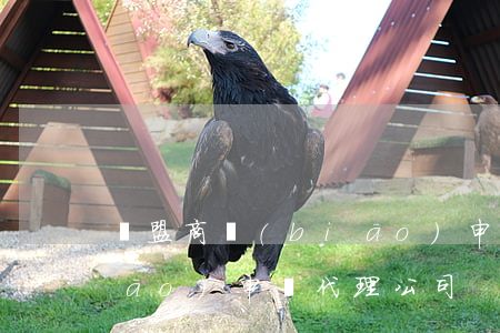 歐盟商標(biāo)申請(歐盟商標(biāo)申請代理公司)