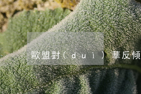 歐盟對(duì)華反傾銷案案例分析