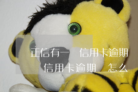 正信有一個信用卡逾期該怎么辦-正信有一個信用卡逾期該怎么辦呢
