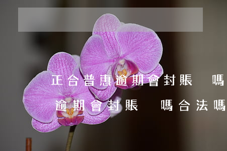 正合普惠逾期會封賬戶嗎合法嗎-正合普惠逾期會封賬戶嗎合法嗎知乎