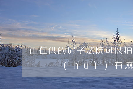 正在供的房子法院可以拍賣嗎(法院拍賣房能買嗎?會(huì)有麻煩嗎)
