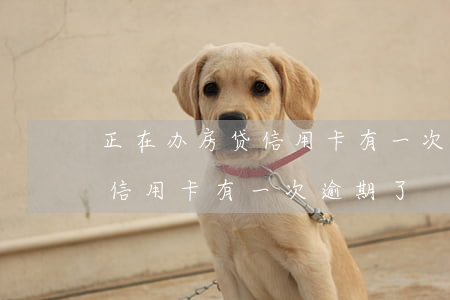 正在办房贷信用卡有一次逾期-正在办房贷信用卡有一次逾期了