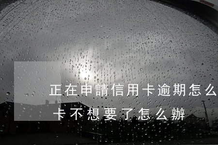 正在申請信用卡逾期怎么辦(正在申請的信用卡不想要了怎么辦)