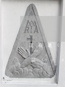 正在進(jìn)行違法建設(shè)的認(rèn)定及查處程序