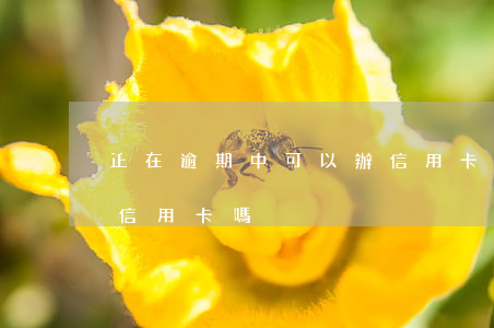 正在逾期中可以辦信用卡嗎(有過逾期能辦理信用卡嗎)