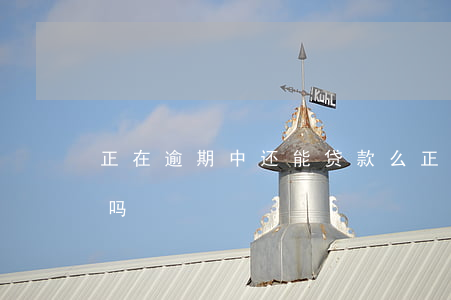 正在逾期中还能贷款么(正在逾期中可以贷款吗)