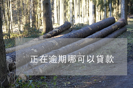 正在逾期哪可以貸款