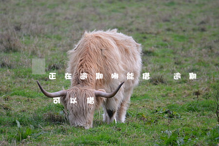 正在逾期哪能借錢(逾期狀態(tài)哪里可以借錢)