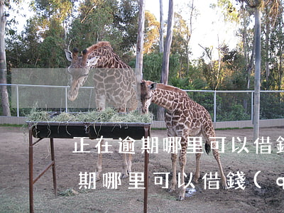 正在逾期哪里可以借錢(qián)(正在逾期哪里可以借錢(qián)沒(méi)信用卡)