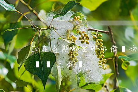 正在逾期哪里可以借錢快速到賬(逾期怎么借錢馬上到賬)