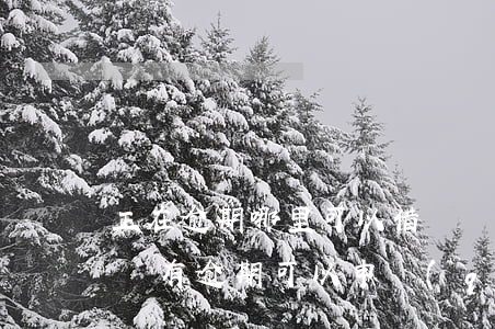 正在逾期哪里可以借錢沒信用卡(有欠款但是沒有逾期可以申請(qǐng)信用卡嗎)