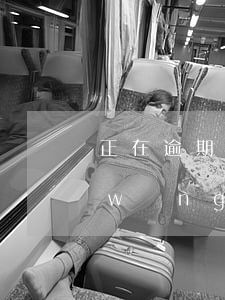 正在逾期必下的網(wǎng)貸口子(網(wǎng)貸逾期還可以借錢的口子)