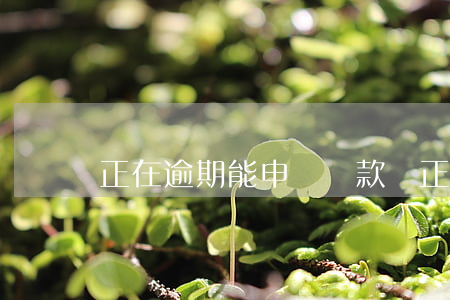 正在逾期能申請貸款嗎(正在逾期怎么貸款)
