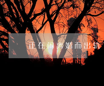 正在闹离婚而出轨了怎么办