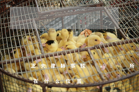 正大律師事務(wù)所在哪里(正大律師所在什么位置)