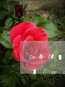 正奉律師催收哪個網(wǎng)貸(正奉律務(wù)是真是假)