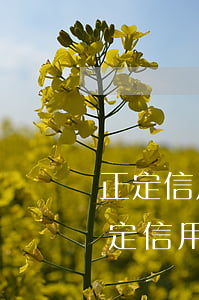 正定信用卡逾期一天會(huì)怎么樣(正定信用卡逾期一天會(huì)怎么樣)